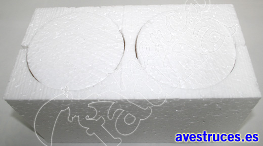 huevos de avestruz
